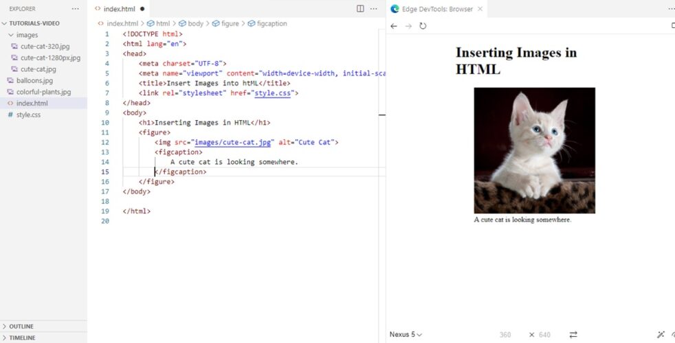 Working Demo of HTML Figure Element
