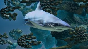 Scientists determined the size of largest ever lived sharks Megalodon