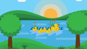 Why do ducklings swim in row behind their mother?